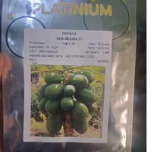 Hybrid Red-Fleshed Papaya Seed