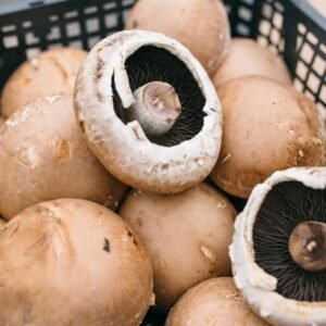 Portobello mushroom