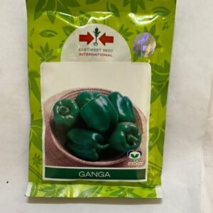 Ganga Sweet Pepper Seeds (Eastwest Seeds Brand)