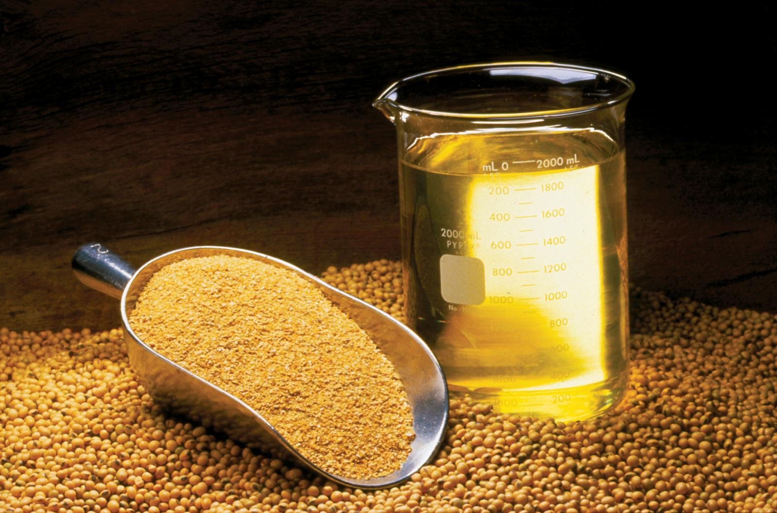 Soybean Derivatives (Soyabean Meal | Full-Fat Soya | Soya Crude Oil)