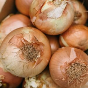 Spanish onions
