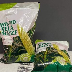 HYBRID TELA MAIZE | 5KG