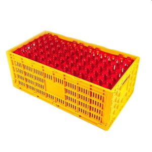Offer: Buy 5 Chicken Egg Transfer Boxes & Get 1 Dozen Plastic Egg Crates FREE!
